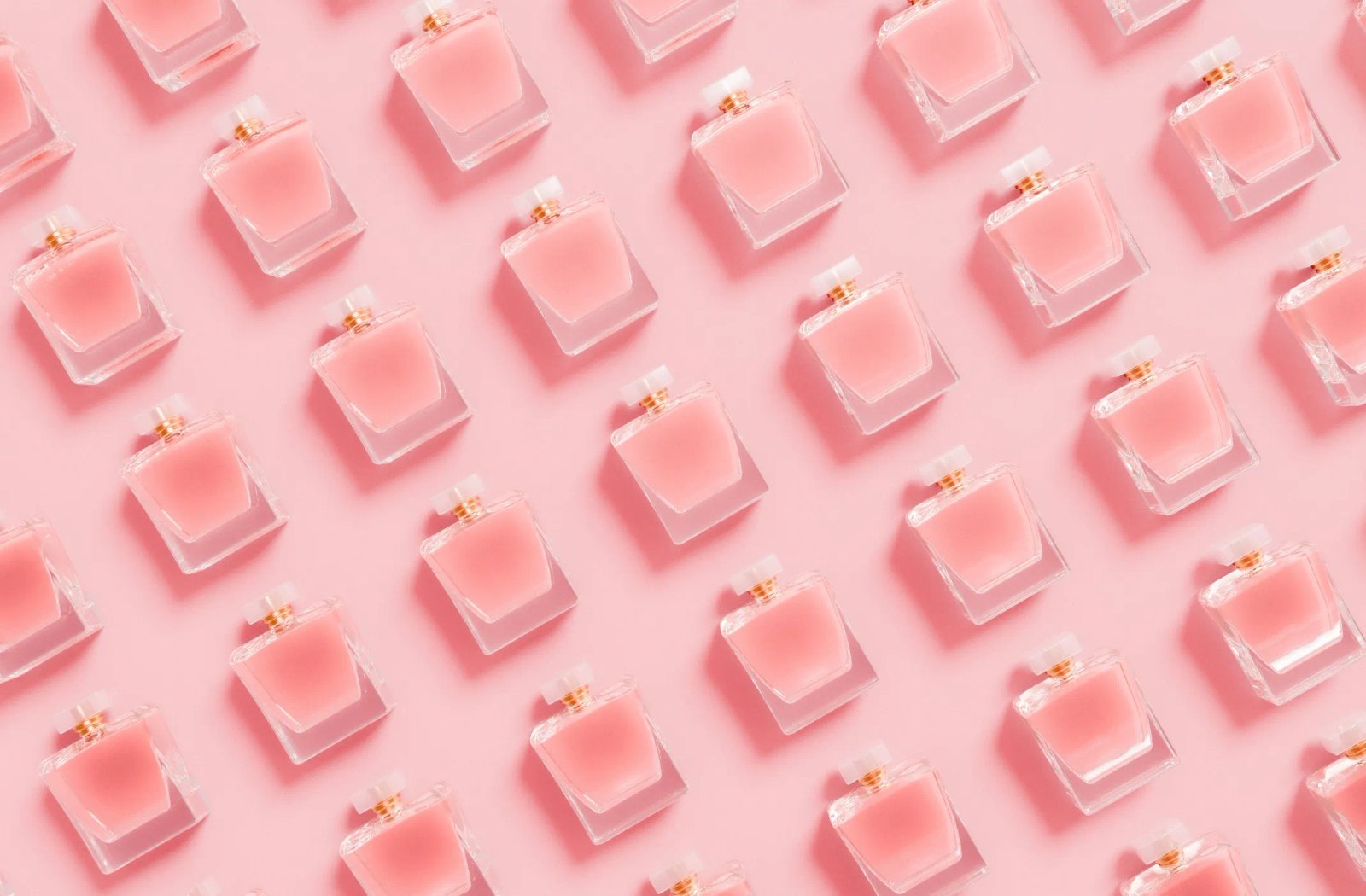 Beauty & Personal Care